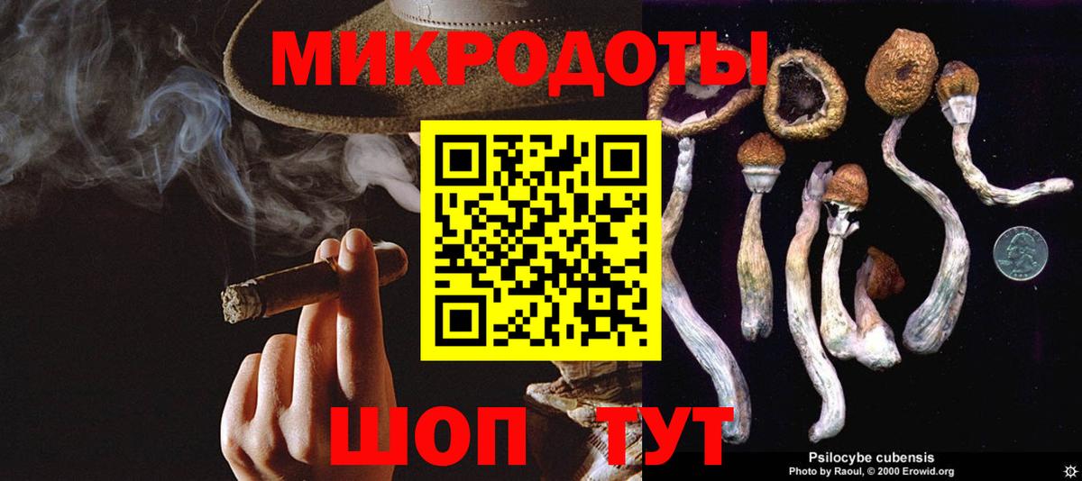 Псилоцибиновые грибы Cubensis  Вход с VPN  Псилоцибиновые грибы прущие грибы  Кропоткин 